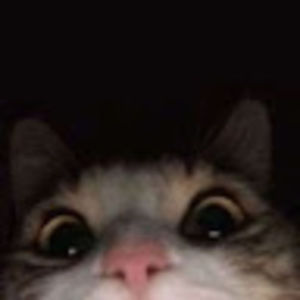 Meet your Posher, Hailey